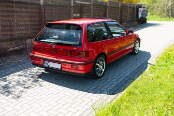 zdj033